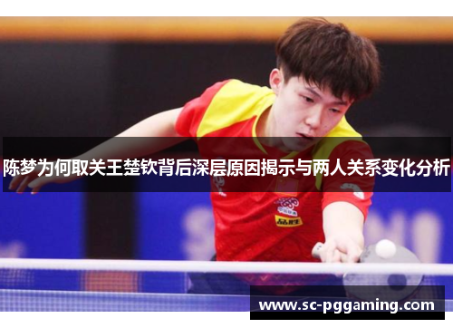陈梦为何取关王楚钦背后深层原因揭示与两人关系变化分析
