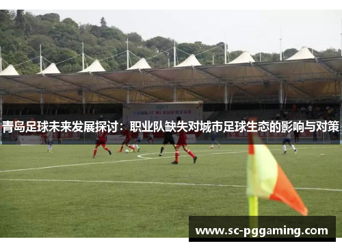 青岛足球未来发展探讨:职业队缺失对城市足球生态的影响与对策 青岛足球未来发展探讨:职业队缺失对城市足球生态的影响与对策