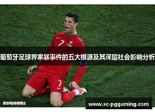 葡萄牙足球界家暴事件的五大根源及其深层社会影响分析